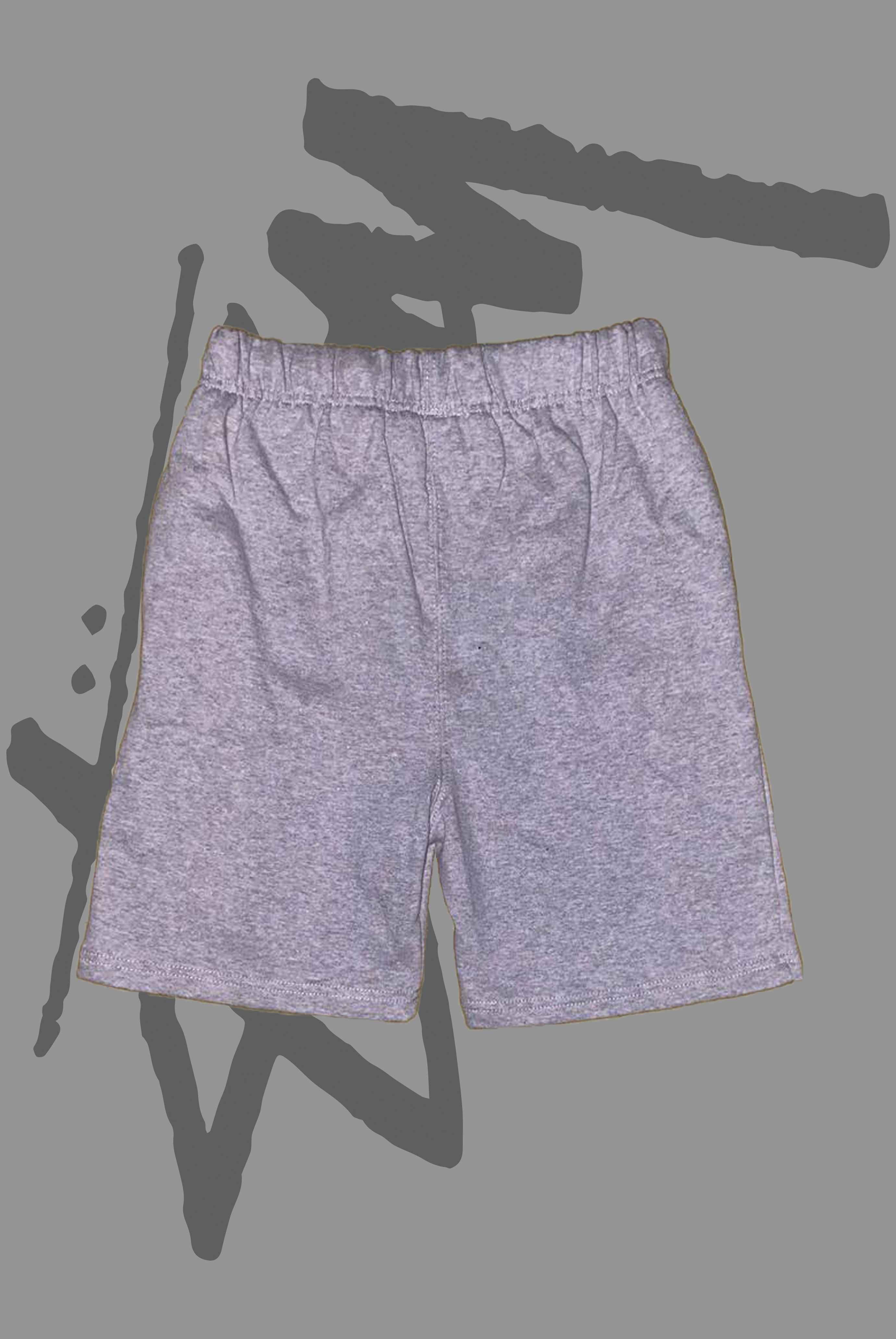 Stusy Fleeces Shorts